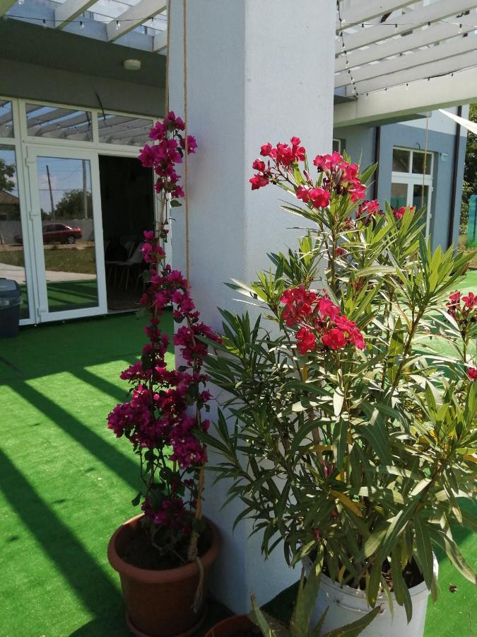 Tina Guest House Basarabi Exterior foto